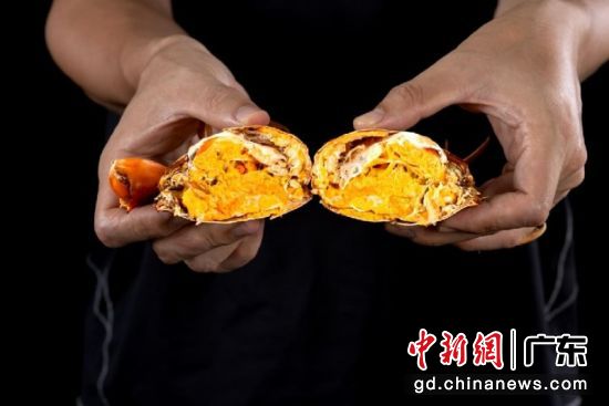 南方青蟹。受访方 供图 南方青蟹。受访方 供图