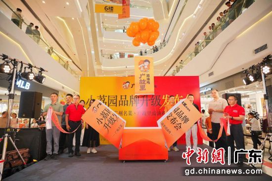 发布会现场。主办方 供图 发布会现场。主办方 供图