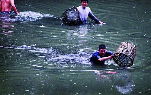 组图:市民跳进池塘抓鱼 不介意水质已受污染(2