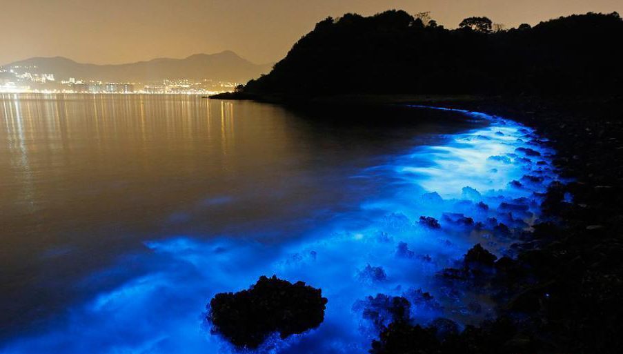 广东新闻网-广东综合新闻门户网站