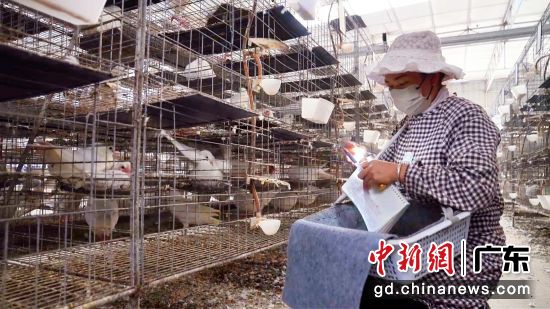 ͼΪ��ũ����ֳ����ҵ�� (ͨѶԱ ��ͼ)