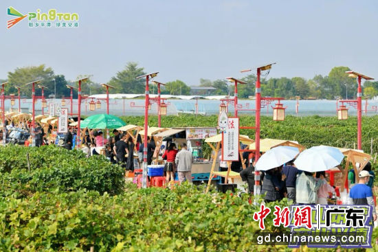 Ȥζ�м����ܷ÷���ͼ