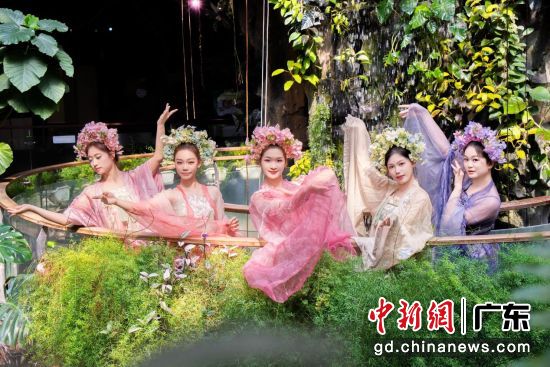 �οͻ����������ӡ�����������̬����ֲ��԰��԰�� ��ͼ