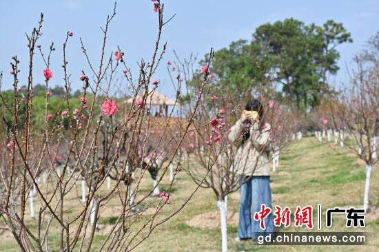 2��7�գ�2026���������ɽ�һ��Ļ����ν���λ�ڹ����е�����ɽ��������ʽ��Ļ���´�����������ɽ�������Ѵ����ŵƽ�ʣ���Ȼһ�£����Ƴ��Ի�Ϊ���ġ��ںϷ��š����ס�԰�յ�ϵ���´�����򿨾��㣬Ϊ�����ο��ṩ���ڳ�����ѡ��ͼΪ�һ����ţ������ο���԰�ͻ��� �³��� �� 