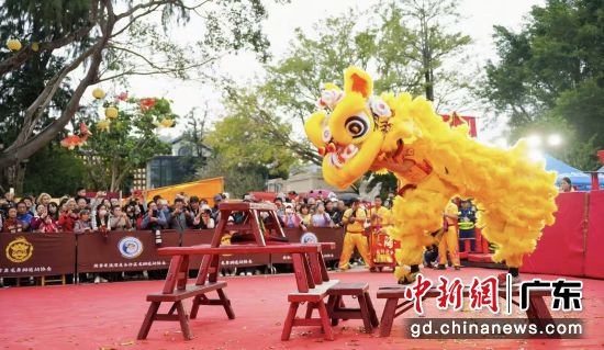 ��۰���ʨ�����������Ƽҹ�����С������� ��