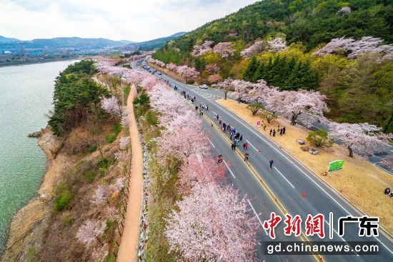 ��������ӣ�������ɴ���ֳ�(����ͼ)���������η�չ�ֹ��ݰ��´� ��ͼ