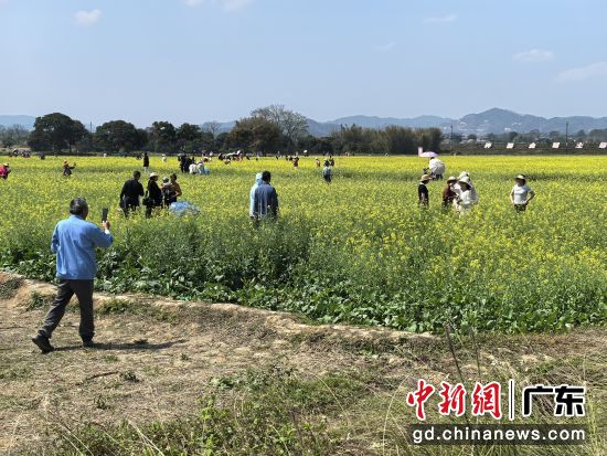 ��ֳ��� ���� ��� ��