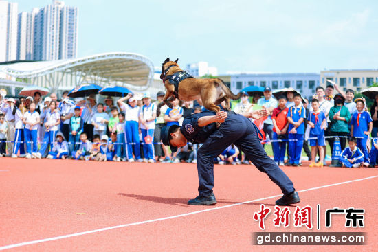 �������ֳ������ھ�����ͼ