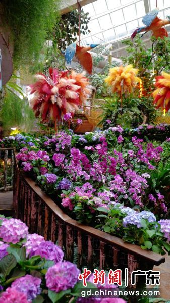 ����������ֲ̬��԰���ܷ÷� ��ͼ