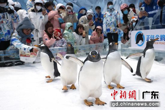 ��������ѩ���硣�ܷ÷� ��ͼ