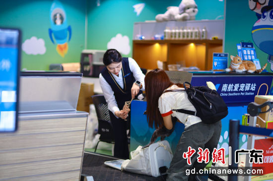 �Ϻ�WΪ�ÿ��ṩ��������Ͳա������Ϸ����� ��ͼ